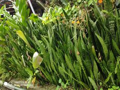 -优游吧斯邹族文化部落