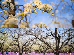 -江苏三台山国家森林公园