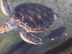 -鸿通城购物中心