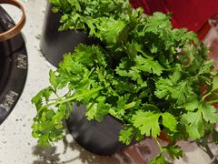 -京韵胡同·酱香羊蝎子火锅涮肉(长寿路店)