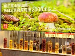 -菌自在·云南野生菌火锅(长安万达店)