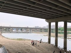 -长白岛森林公园