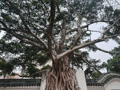 -墨池公园