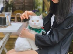 -彳亍咖啡·这里(水湾路店)
