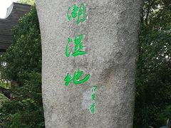 -溱湖国家湿地公园