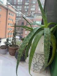 -真好真意SALON 接发·染·烫特色店