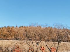 -八奇洞景区