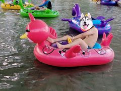 -杭州开元森泊度假乐园