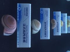 iphone_upload_pic-贝壳梦幻世界
