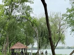 -高子水居