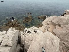 -养马岛旅游度假区