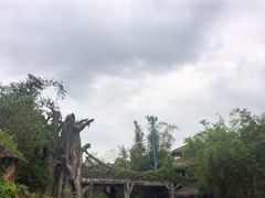 -观澜山水田园