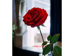 -IL Forno 意坊·意大利餐厅(温州万象城店)