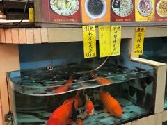 -鸿达渔港