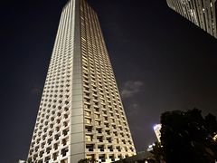 -新加坡瑞士史丹福酒店