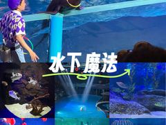 -大连圣亚海洋世界