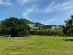 -麦当劳(三亚凤凰机场店)