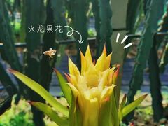 -海堤葡萄园中小学生研学基地