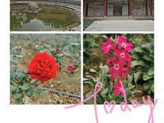 -顺峰山公园