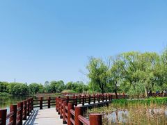-长兴太湖图影湿地文化园