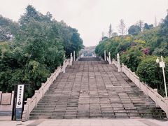 -铁山坪森林公园