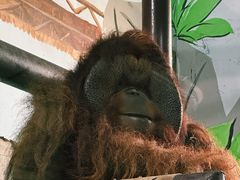-济南野生动物世界
