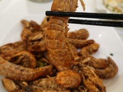 椒盐赖尿虾-新享乐海鲜(翠华路店)