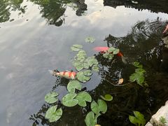 -春风习习