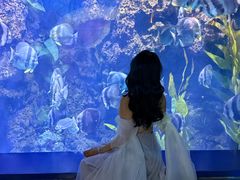 -南昌融创海世界