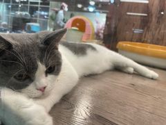-宠物世家(仲盛世界商城店)