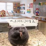 上海超级热门的人气宠物儿童乐园🎠