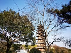 -上海方塔园