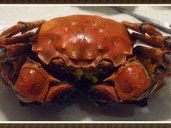 1一只蟹-新光酒家·河豚·海鲜·蟹料理(浦东店)
