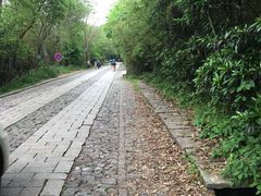 -紫金山天文台