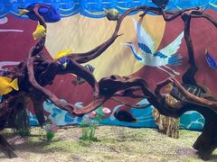 -烟台海昌鲸鲨海洋公园
