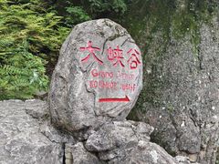-茅兰沟国家森林公园