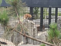 -武汉动物园