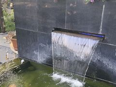 -蘇河湾·新鲁菜·泰山宴(泰山店)