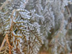 -龙洞风景区-藏龙涧