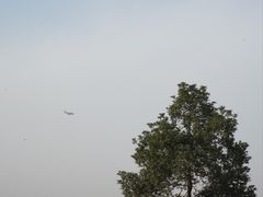-空港花田景区