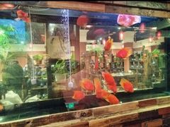 -大匠工房古船木艺术餐厅·猪肚鸡专门店(长白仙岛店)