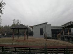 -石家庄市动物园