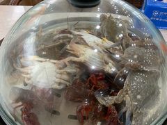 -海岸风情蒸汽海鲜自助餐厅(家宴金手勺店)
