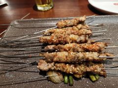 现穿羔羊肉串-火联烧烤(学院路创始店)