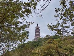 -顺峰山公园