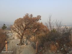 -鹫峰国家森林公园