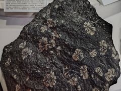 -中国第四纪冰川遗迹陈列馆