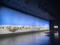 -罗红摄影艺术馆