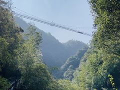 -宁波五龙潭景区