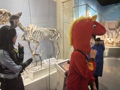 -国家自然博物馆